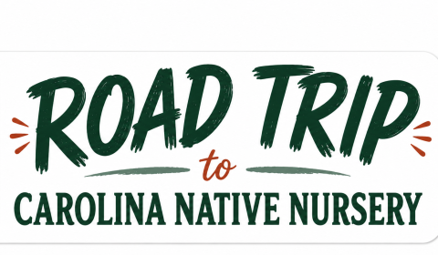 Grab a Friend and Take a Road Trip to Bee Native!